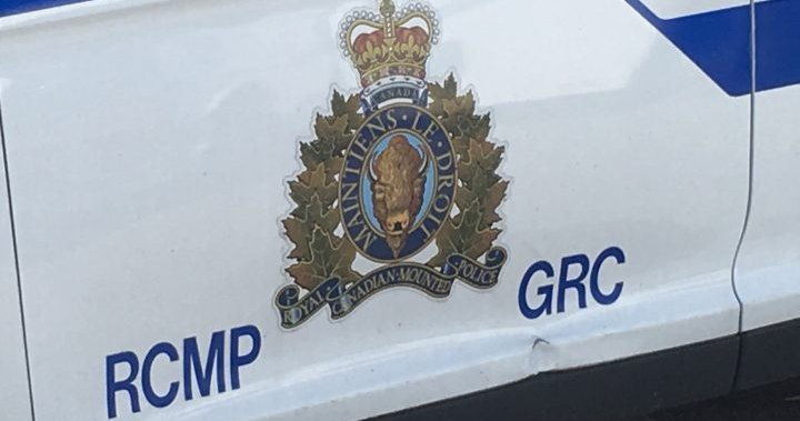 New Brunswick driver dies after hitting moose, crashes into garage