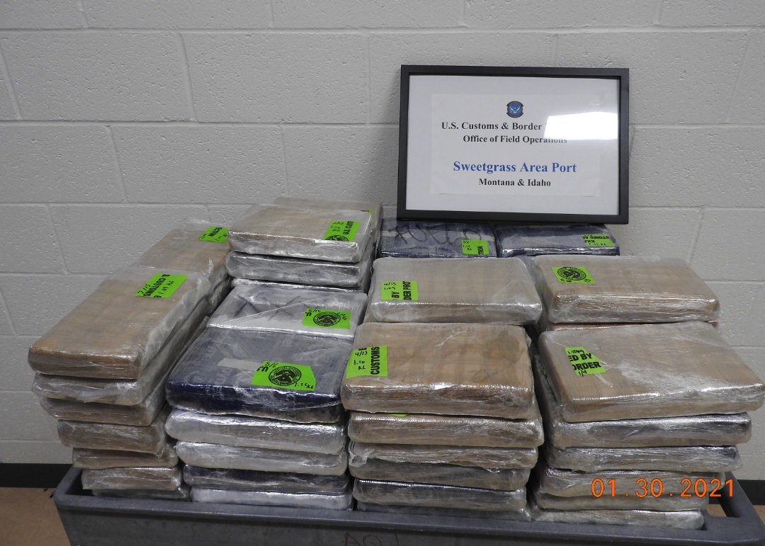 Border patrol officers reportedly seized 240 pounds of cocaine from a Calgary man's truck during a border crossing. 