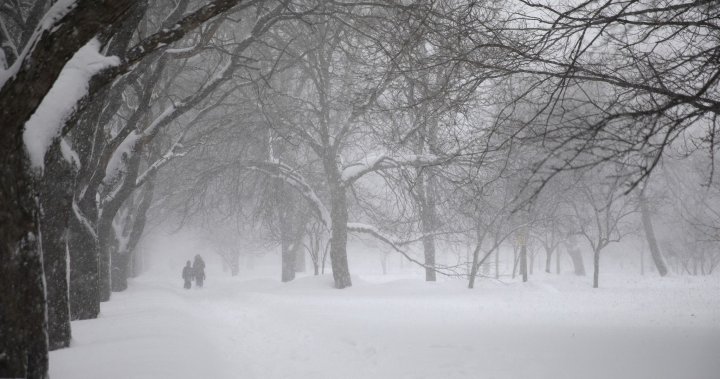 It’s never too early to prepare for a Saskatchewan winter. Here’s how