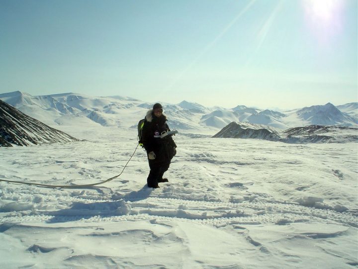 Credit: Tim Haltigin