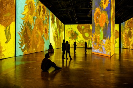 The ‘Imagine Van Gogh’ art exhibit.