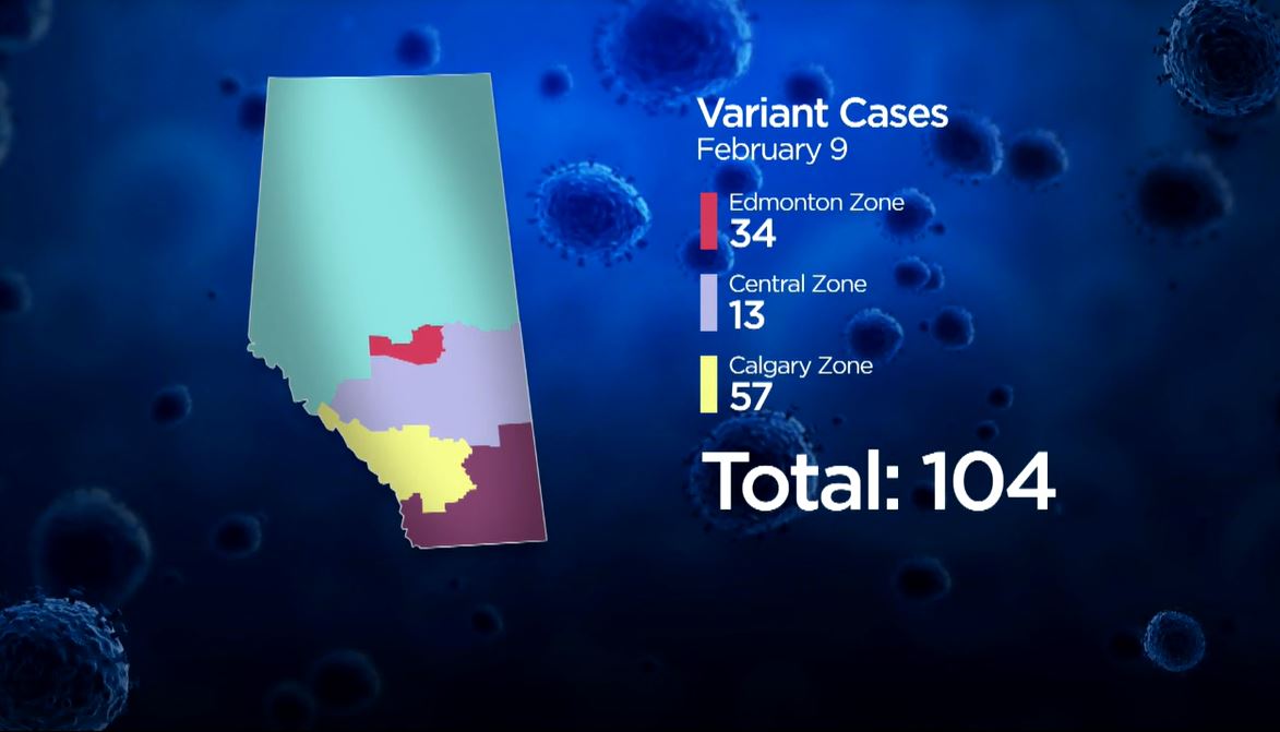The big picture: a timeline of increasing COVID-19 variants in Alberta - image