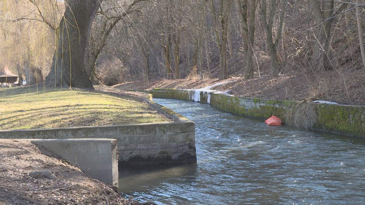A report by a hydrogeologist suggested the city remove the walls on the sides of Vernon Creek to improve drainage.
