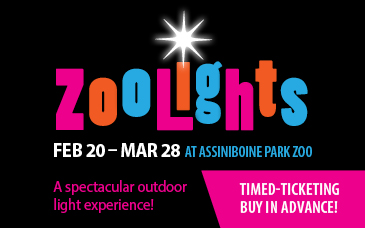 Zoo Lights - image