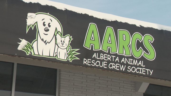 Alberta animal rescue organization opens first Edmonton facility |  