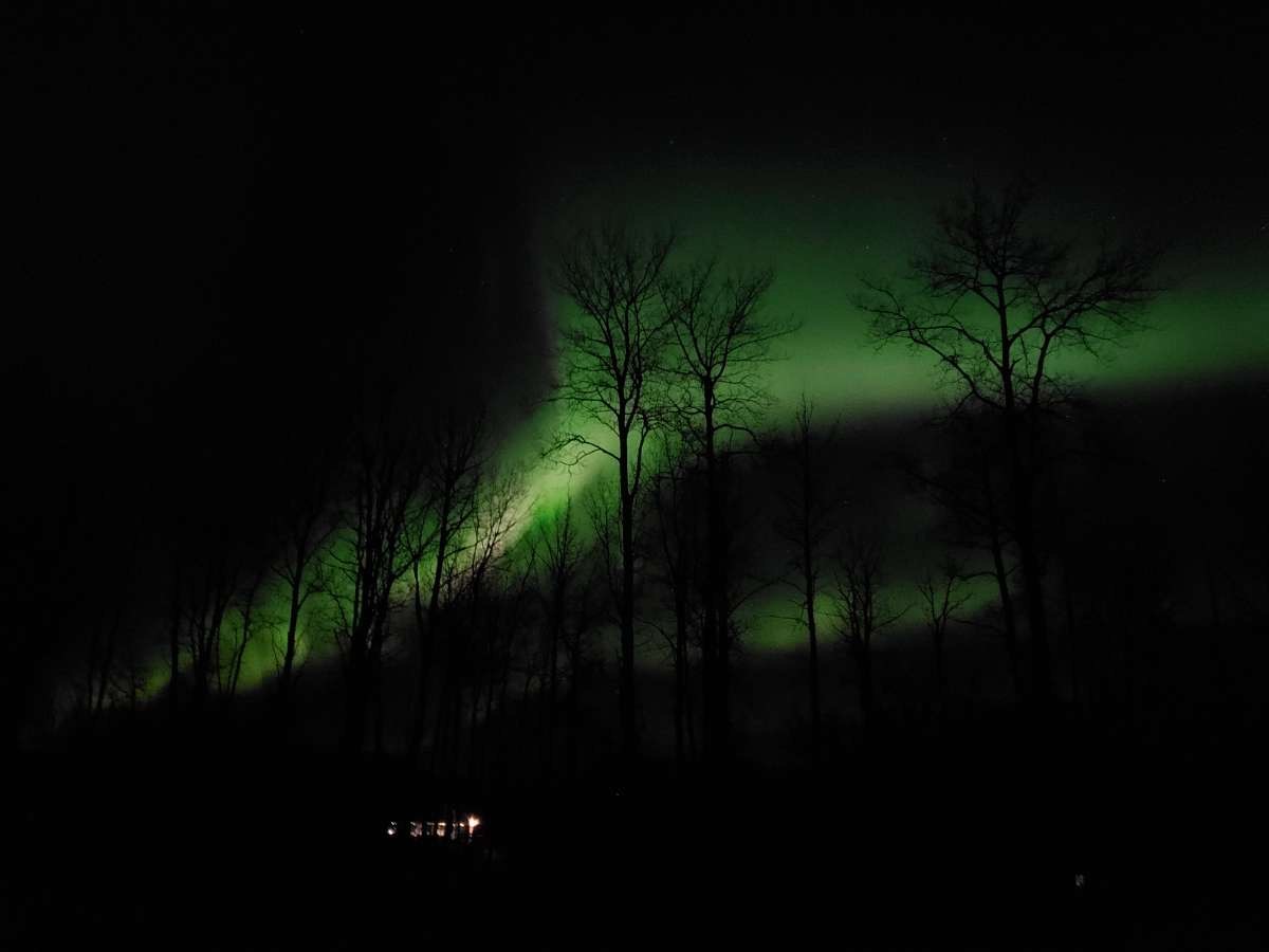 A photo of the northern lights taken near the hamlet of Calahoo west of Edmonton, Alta.
