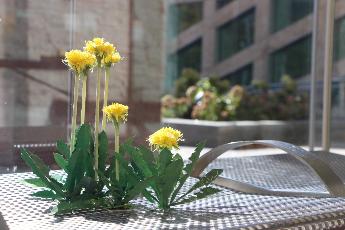 Some of the paper flowers artist Monique Martin plans to place across the city.