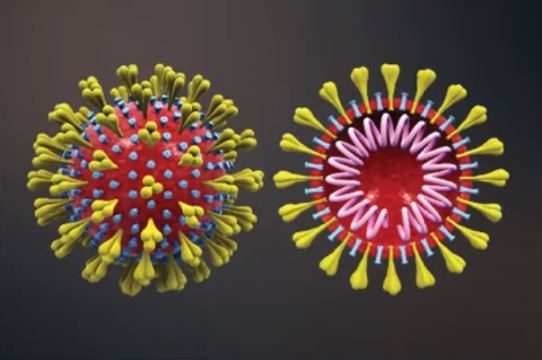 As the COVID-19 pandemic continues, focus has shifted to the Variants of Concern. Two epidemiologists explain how the virus changes and what new strains could look like.