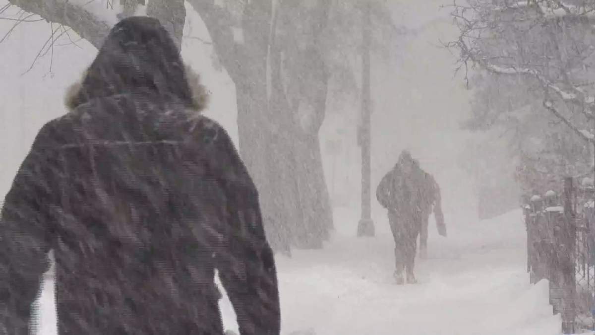 Calgary shelters brace for incoming frigid temperatures.