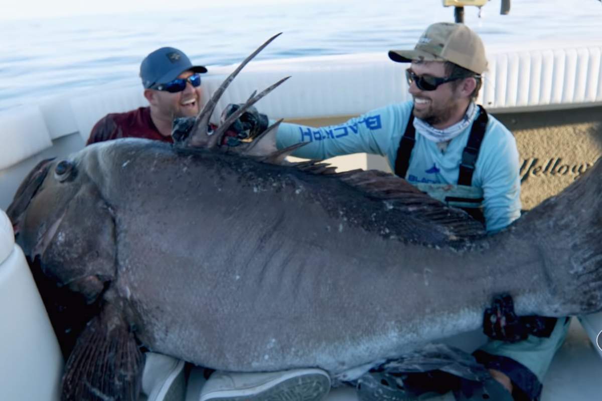Capt. Jason Boyll, left, and Joshua Jorgensen are shown with a Warsaw grouper they caught off the coast of Florida on Jan. 22, 2021.