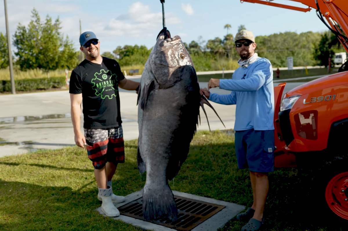 Capt. Jason Boyll, left, and Joshua Jorgensen are shown with a Warsaw grouper they caught off the coast of Florida on Jan. 22, 2021. It was the largest fish Jorgensen had ever seen, but not the largest for Capt. Boyll, whose company has taken other fishermen out to hunt the Warsaw grouper in the past.