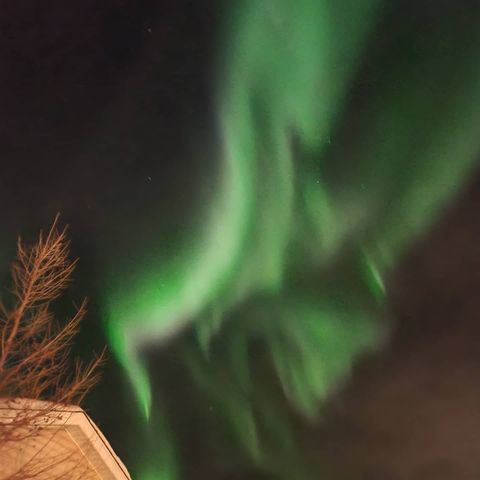 A shot of the northern lights taken in High Level, Alta.