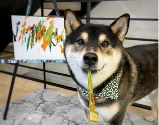 Hunter, an eight-year-old Shiba Inu with a passion for painting.