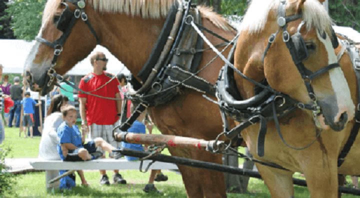 R.J. Haney Heritage Village and Museum is set to start it's 25th annual heritage week.
