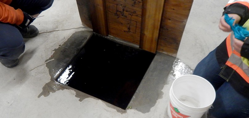 The wooden drain cover where the frogs were discovered.