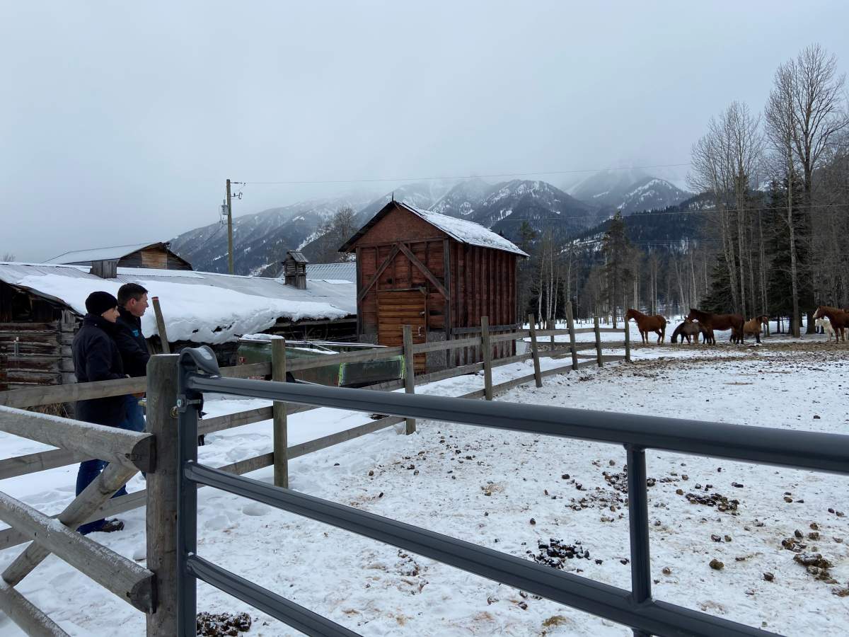 Laura Laing and John Smith.