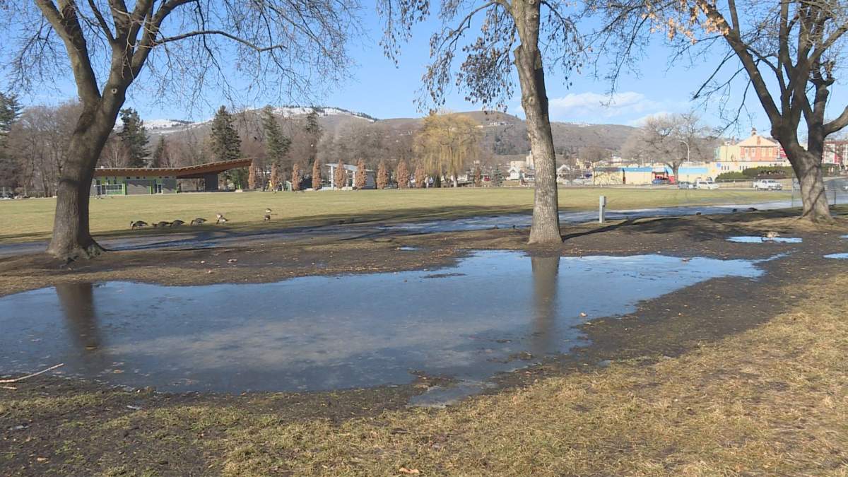 Pooling water has been an ongoing issue in Polson Park since 2017.
