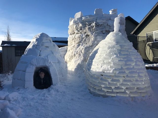 Alberta boy endures cold temperatures and many hours to build backyard  igloos | Globalnews.ca