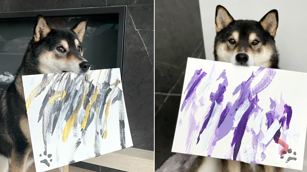 A best sale dog painting