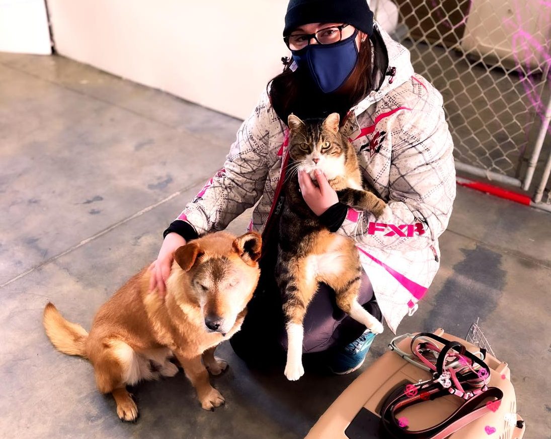 asomadetodosafetos.com - Cãozinho cego e seu amigo "gato guia" são adotados juntos de abrigo