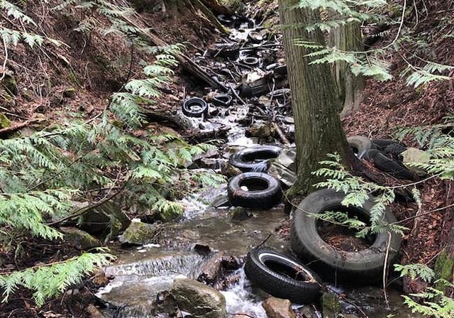 Volunteers waiting for green light to remove tires littering Okanagan creek - image