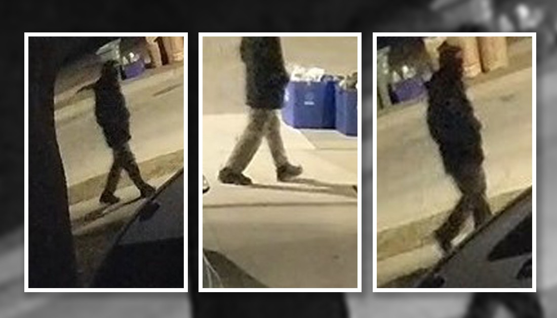 Police are looking for the suspect in a stabbing in Waterdown on Monday evening.