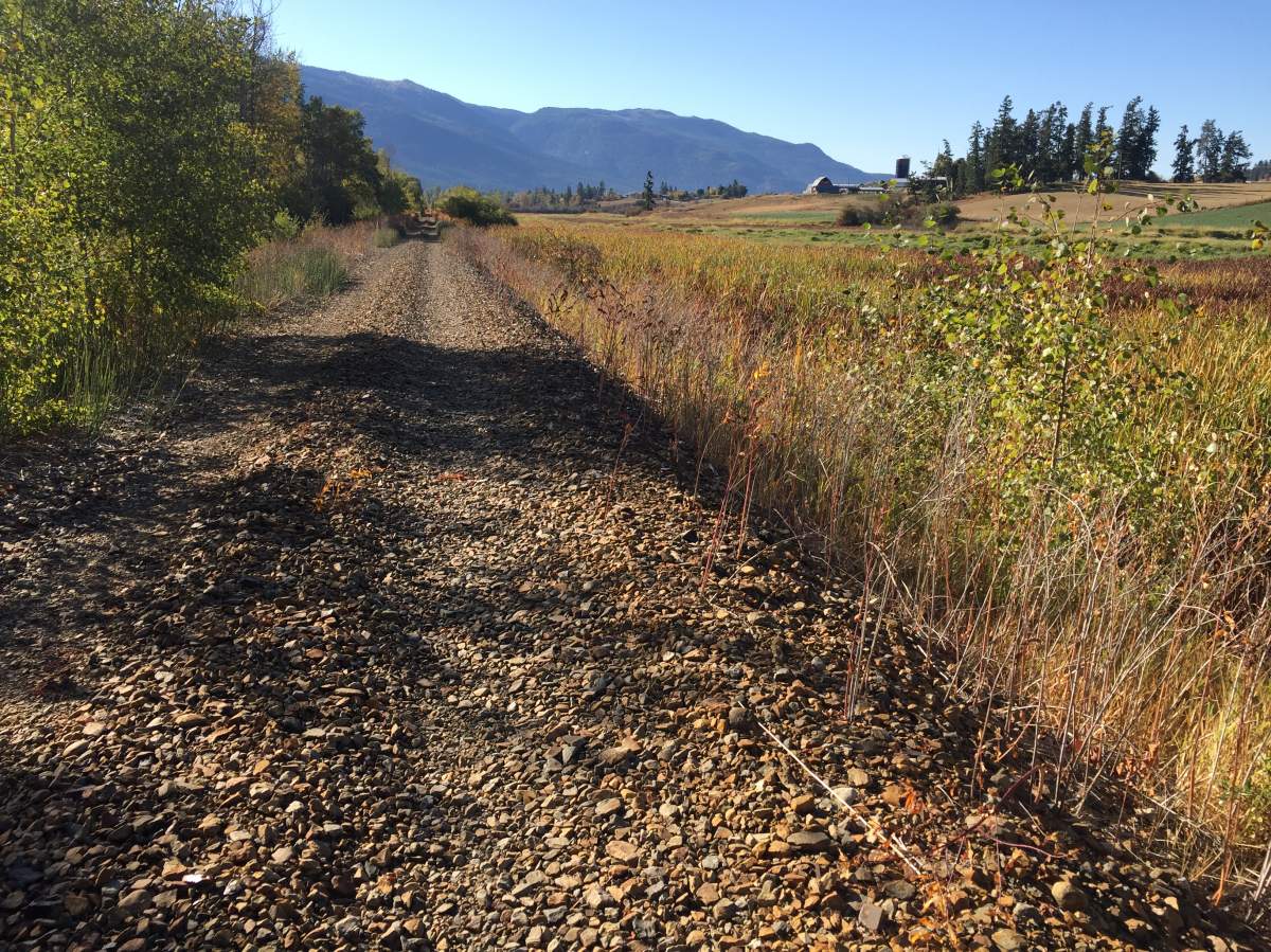 The former CP Rail Line near Fortune Creek lies next to kilometres of agriculture land as photographed in the fall of 2017.