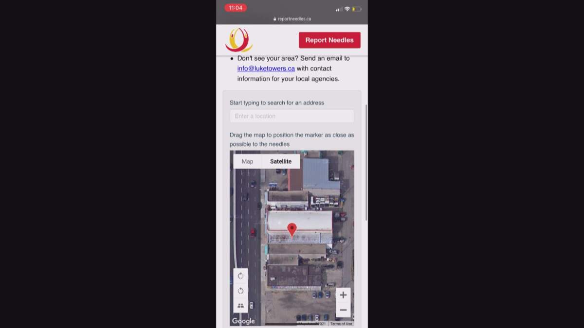 A screenshot of the Report Needles app.