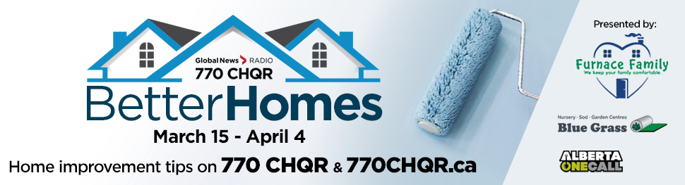 Better Homes Series - image