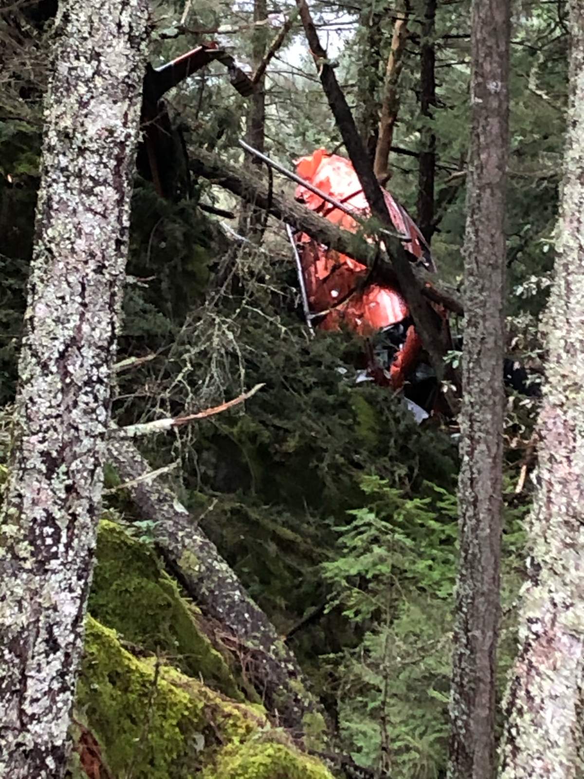 Two pilots unhurt after helicopter crashes on Bowen Island - image