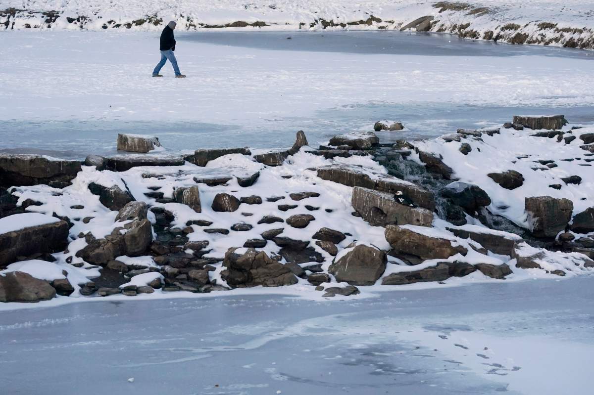 A man walks across a frozen lake at Cottonwood Park in Richardson, Texas, Thursday, Feb. 18, 2021.