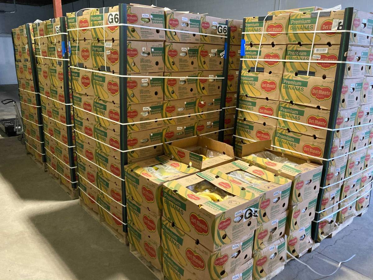 Bananas donated to the Leftovers Foundation in Calgary are shown in this recent handout photo. A Calgary not-for-profit is trying to find creative uses for some of the 340 cases of donated bananas it received at once last week. THE CANADIAN PRESS/HO – Audra Stevenson