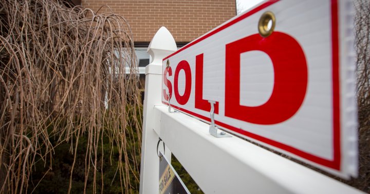 Canadian demand to buy homes in the United States has picked up: NAR report