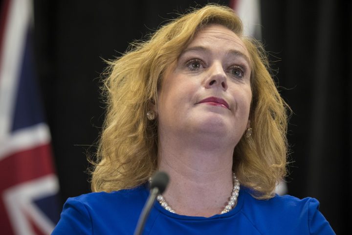 Lisa MacLeod speaks at Queen's Park in Toronto on Thursday, March 21, 2019.