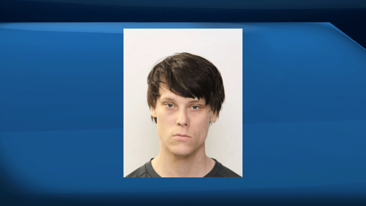 Edmonton police issue warning about high-risk sex offender being released - image