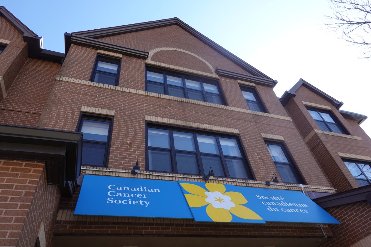 Canadian Cancer Society’s annual daffodil fundraising campaign going virtual Halifax