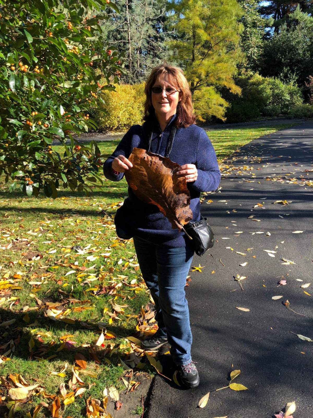 MGAA – Creating Beauty Through Texture, with Elaine Rude - image