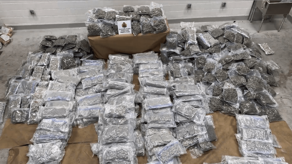 Hamilton police say close to $4.5 Million worth of cannabis was seized from an industrial area in Stoney Creek on March 1, 2021.  