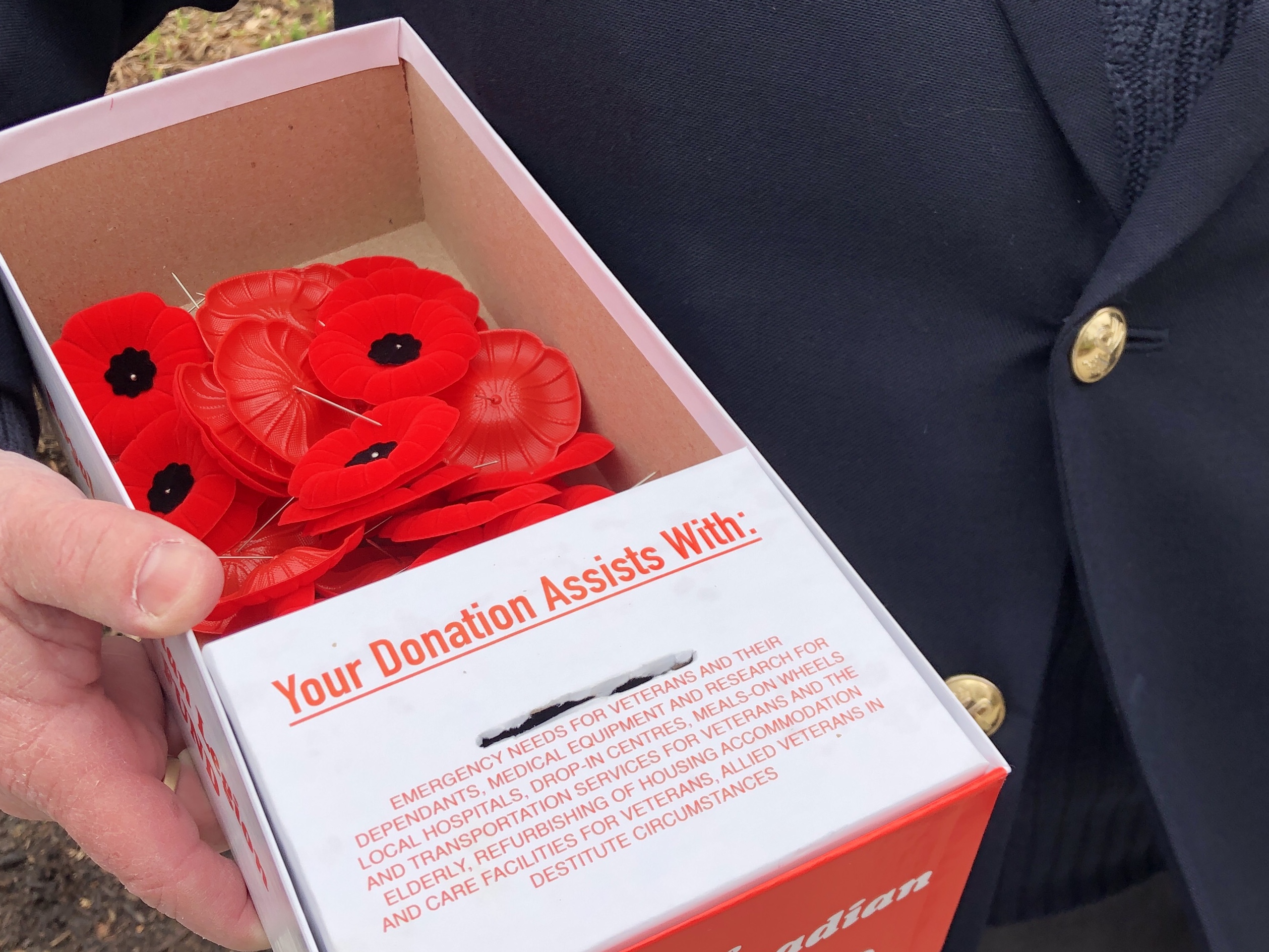 Royal Canadian Legion Poppy Campaign Raises Close To $200K For London ...