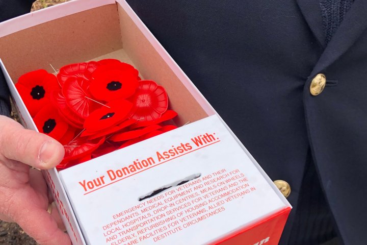 London, Ont. prepares for Remembrance Day with poppy campaign, parade