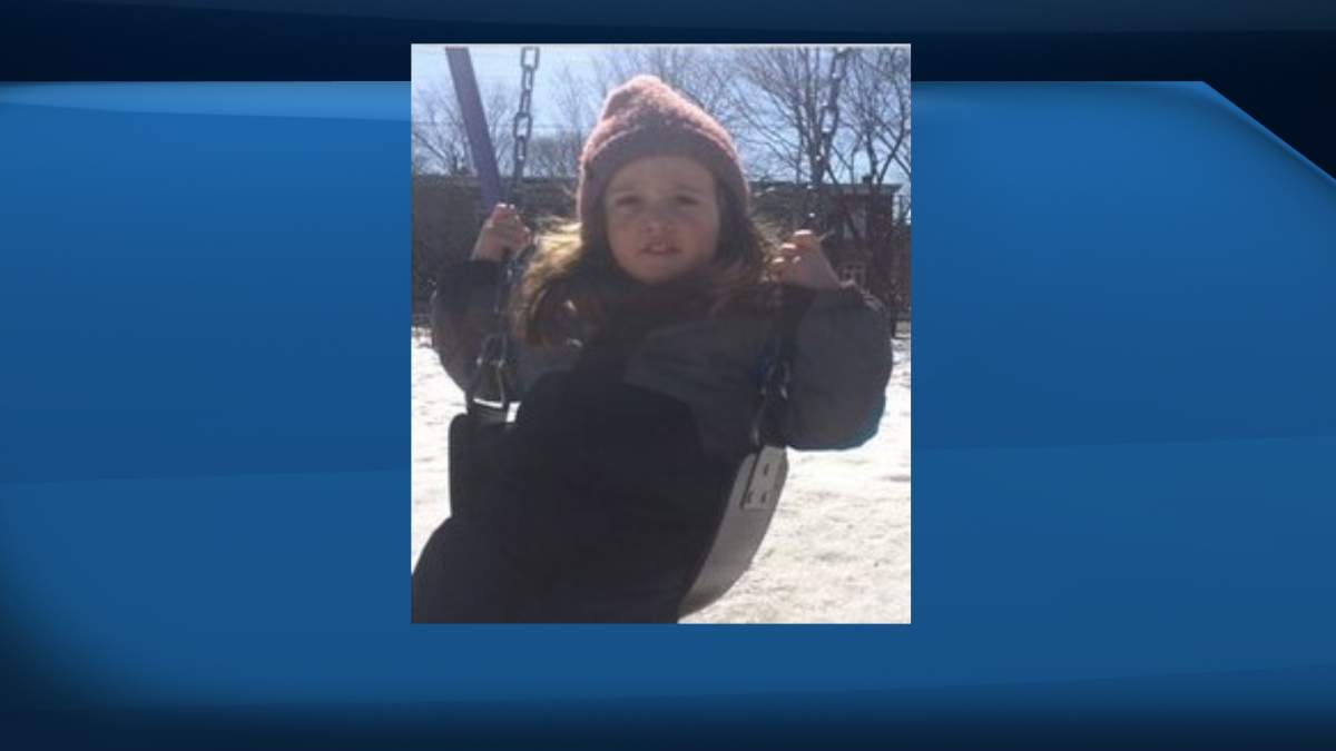 OPP find toddler missing in eastern Ontario forest for over 3 days ‘alive and well’ - image