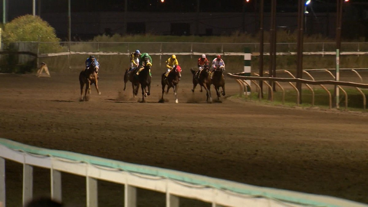 Horse racing at Marquis Downs