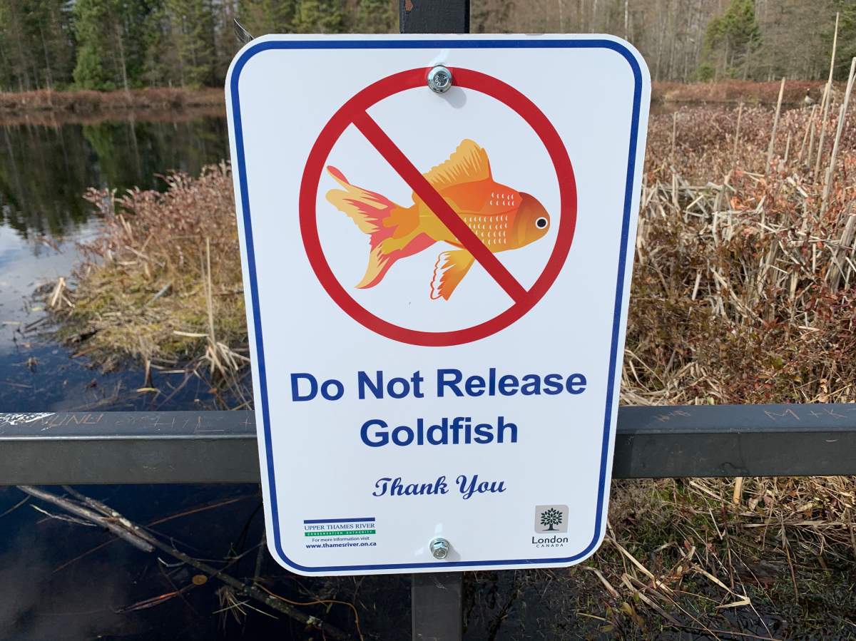 A sign at Sifton Bog in London, Ont., as seen March 29, 2021.