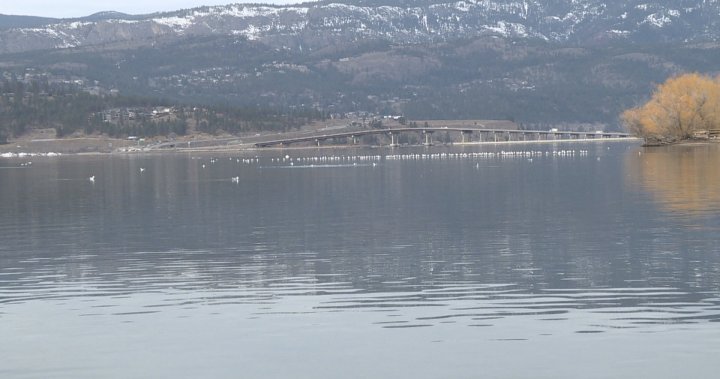Review of Okanagan water management needed to prevent flooding: water board - Global News