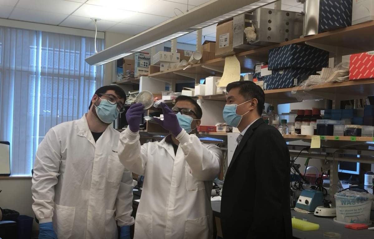 Dr. Jonathan Li (right) Manish Choudary (centre) and James Regan (left) are looking at a plate that contains bacteria growing cloned viral genes.