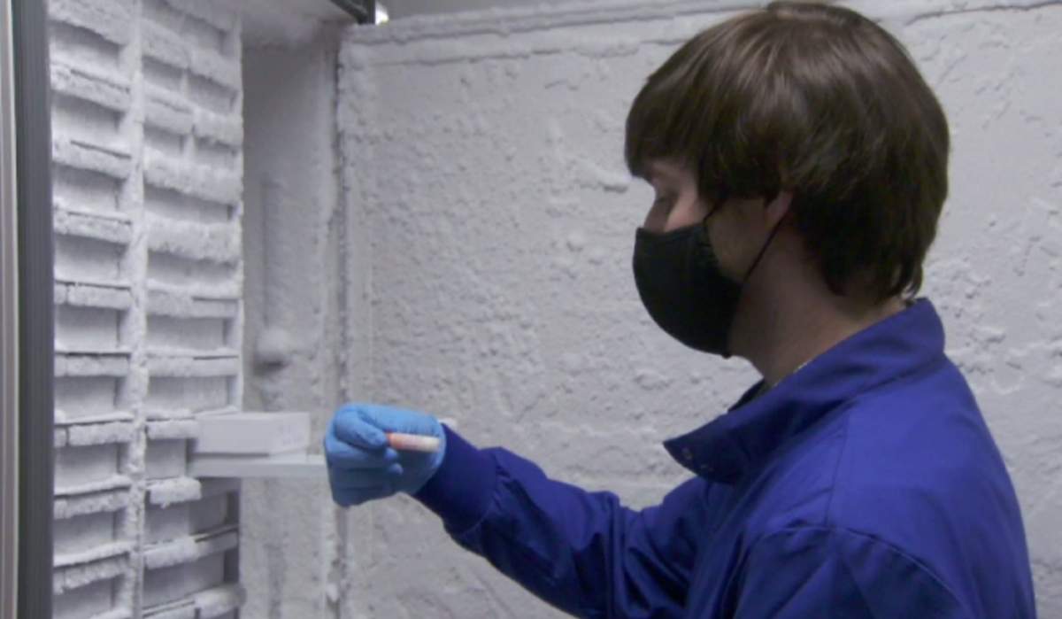 Steven Kemp, a research associate at University College London, reviews virus samples.