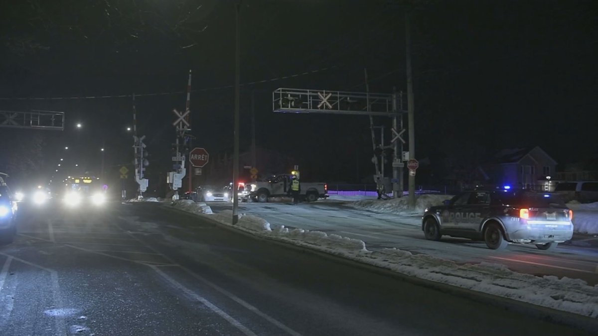 An 18-year-old walking his dog was struck and killed by a train in Pointe-au-Tremble. Thurs, March 04, 2021.