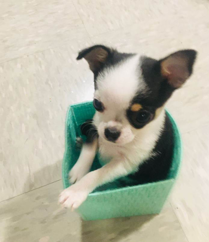 Carl decked out in green.