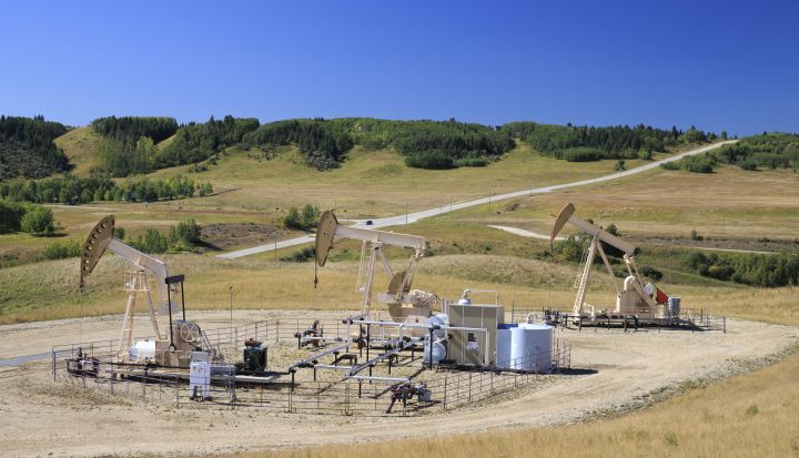 Oilfield pumpjacks, belonging to Whitecap Resources, work producing crude near Calgary, Alberta on Sept. 9, 2020. 