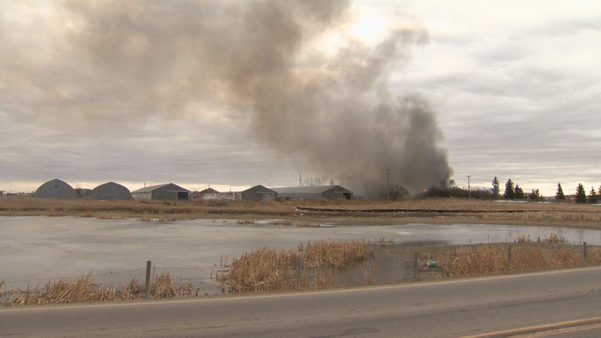 Crews responded to several fires in Conrich, Alta., on Sunday, March 21, 2021.